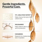 Anua Rice 70 Glow Milky Toner, Glass & Dewy Skin, Hydrating & Barrier Care - Image 4