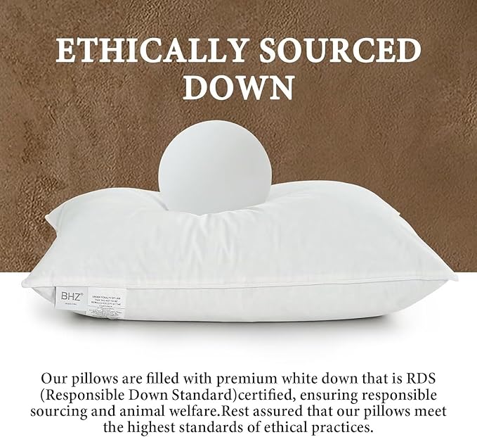 BHZ Goose Down Feather Pillows Queen Size - Image 2