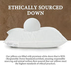BHZ Goose Down Feather Pillows Queen Size - Image 2