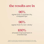 Burt's Bees Rescue Lip Relief, Watermelon, Hydrating Lip Balm - Image 6