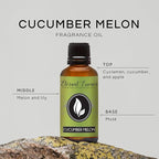 Eternal Essence Oils Cucumber Melon 30ml Premium Fragrance Oil - Image 2