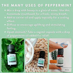 Peppermint Essential Oil by Revive Essential Oils - Image 5