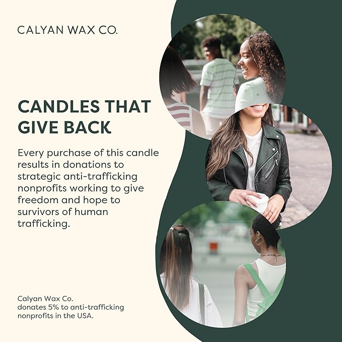 Calyan Wax Co. Evergreen & Eucalyptus 3 Wick Scented Candle - Image 9