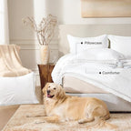 Andency White Comforter Set Twin Size, 2 Pieces Boho Lightweight Tassel Bedding - Image 5