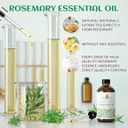 EVOKE OCCU Rosemary Oil for Hair Growth, Nourishing Scalp, Relieving Hair Loss - Image 2
