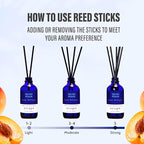 Xcleen Reed Diffuser Set, Velvet Peach Scent Fragrance Oil Diffuser, Reed - Image 4