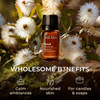 100% Pure Niaouli Essential Oil - Image 5