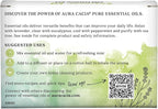 Aura Cacia Discover Essential Oils Kit, Eucalyptus, Peppermint & Tea Tree Oils - Image 2