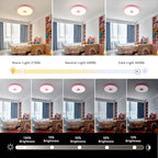 Pink Waterproof LED Ceiling Light Fixture, Music Ceiling Lamp, - Image 6