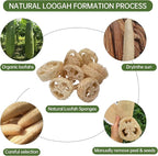 Natural Loofah Sponge for Soap Making, 20 Pack Organic Loofahs Slices Cuts Set - Image 9