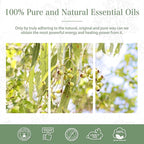 Lemon Eucalyptus 3.38fl.oz Essential Oil, PHATOIL Pure Aromatherapy Oils - Image 6