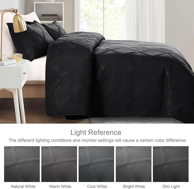 Exclusivo Mezcla Full Queen Size Quilt Set - Image 3