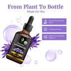 SVA Lavender Essential Oil Organic – 2 Fl Oz – 100% Natural Organic Lavender Oil - Image 4