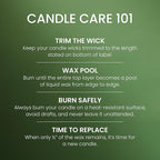 Yankee Candle Balsam & Cedar, Scented Candle, 22oz Large Jar - Image 5