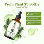 SVA Fir Balsam Essential Oil Organic – 4 Fl Oz – 100% Natural Organic Fir Oil - Image 4