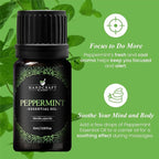 Handcraft Blends Peppermint Essential Oil – 0.33 Fl Oz – 100% Pure and Natural - Image 5