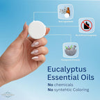 Eucalyptus Mint Shower Steamers – Aromatherapy Shower Bombs - Image 2