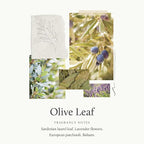Thymes Home Fragrance Mist – Room Air Fresheners - Image 3