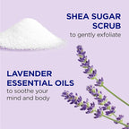 Dr Teal's Shea Sugar Scrub, Lavender Essential Oils, 19 oz - Image 2