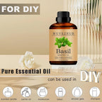 Basil Essential Oil, 240ML Pure and Natural - Image 3