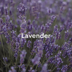 Kneipp Relaxing Lavender Aromatherapy Bubble Bath - Image 5