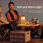 Tulip Table Lamp with 5200mAh Battery & Touch Control, Cordless Lamp with 3 - Image 7