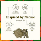 SVA Calamus Essential Oil – 1 Fl Oz – 100% Natural Calamus Oil - Image 3