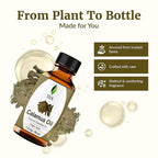 SVA Calamus Essential Oil – 1 Fl Oz – 100% Natural Calamus Oil - Image 4