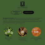 Lulu Candles | Bergamot & Amber | Smells Like Citrus & Musk | Luxury Scented - Image 4