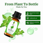 SVA Holy Tulsi Essential Oil – 1/3 Fl Oz – 100% Natural Tulsi Oil - Image 4