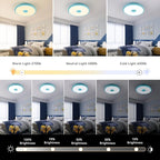 Sky Blue Waterproof LED Ceiling Light Fixture, Music Ceiling Lamp, - Image 4