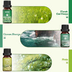 Nature Essential Oils Set, ARVIDSSON Natural Fragrance Oils - Image 3