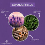 Colonial Candle Lavender Fields Scented Candle Jar, Highly Fragranced Candles - Image 2