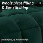 HYLEORY All Season California King Size Bed Comforter - Image 2