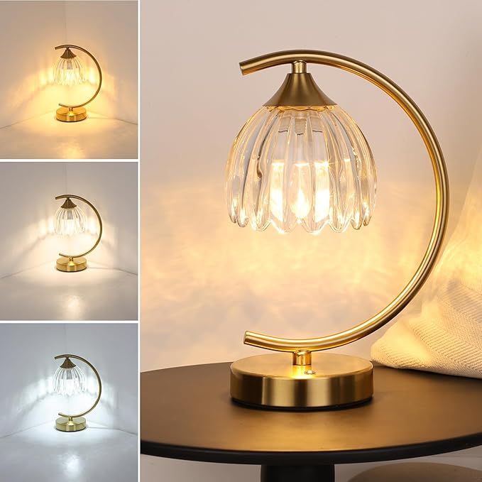 Tulip Table Lamp with 5200mAh Battery & Touch Control, Cordless Lamp with 3 by Shenmoyl