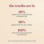 Burt's Bees Rescue Lip Relief, Watermelon & Berry Medley, Hydrating Lip Balm - Image 6