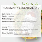 Rosemary Essential Oil 100ML, 100% Pure Rosemary Oil - Image 7
