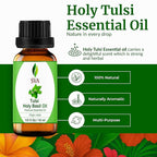 SVA Holy Tulsi Essential Oil – 1/3 Fl Oz – 100% Natural Tulsi Oil - Image 2