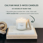 Calyan Wax Co. Oakmoss & Amber 3 Wick Scented Candle - Image 4