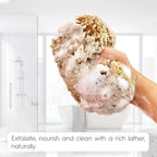 Naroa Exfoliating Natural Sponge - Image 7
