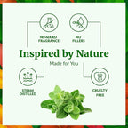 SVA Oregano Essential Oil – 16 Fl Oz – 100% Natural Oregano Oil - Image 4
