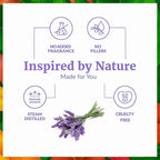 SVA Lavender Essential Oil Organic – 2 Fl Oz – 100% Natural Organic Lavender Oil - Image 3