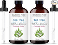 Majestic Pure Tea Tree Essential Oil by BeautyandPersonalCare