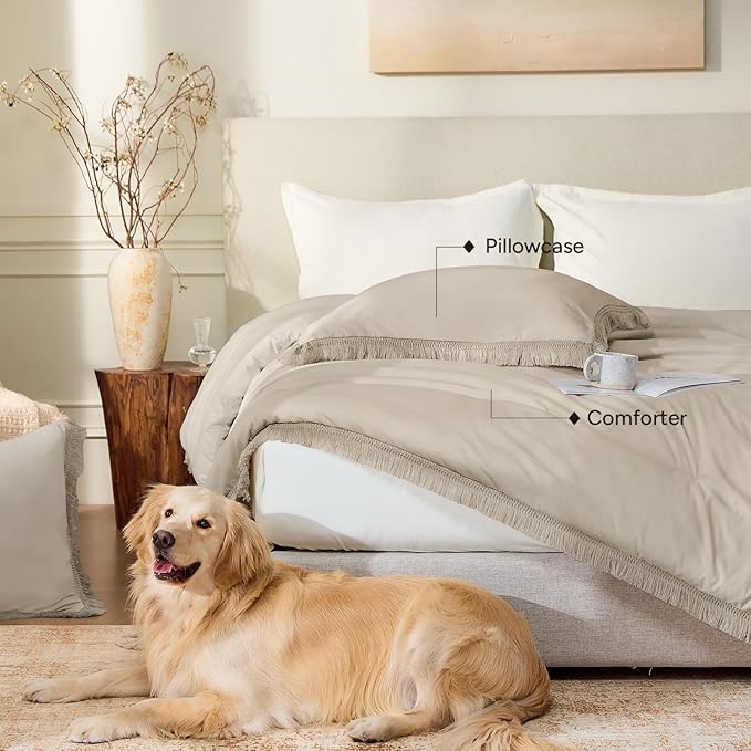 Andency Oatmeal Comforter Set Queen, 3 Pieces Boho Tassel Lightweight Bedding - Image 5
