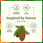 SVA Fir Balsam Essential Oil Organic – 1 Fl Oz – 100% Natural Organic Fir Oil - Image 3