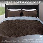 downluxe Twin Comforter Set - Image 2