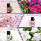SALKING Spring Fragrance Oils Set, Premium Essential Oils Gift Set - Image 4