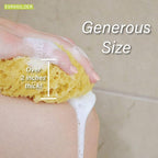 PARADISO Evriholder Sea Foam Body Sponge - Image 5