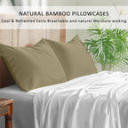 Kamas Oversized Bamboo Pillowcase Set of 2 | 100% Naturally Grown | Ultra Soft - Image 2