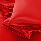 Aormenzy Satin Pillow Cases for Women Queen Size Set of 2, Fade Resistant by Aormenzy